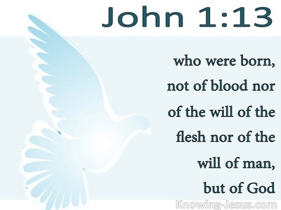 John 1:13 Not Born of Man's Will But Of God (white)